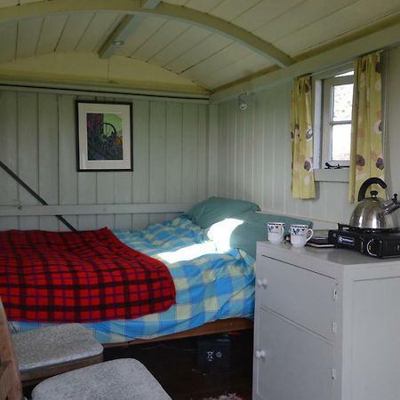 Shepherd'S Hut Hotel Blandford Forum Exterior foto