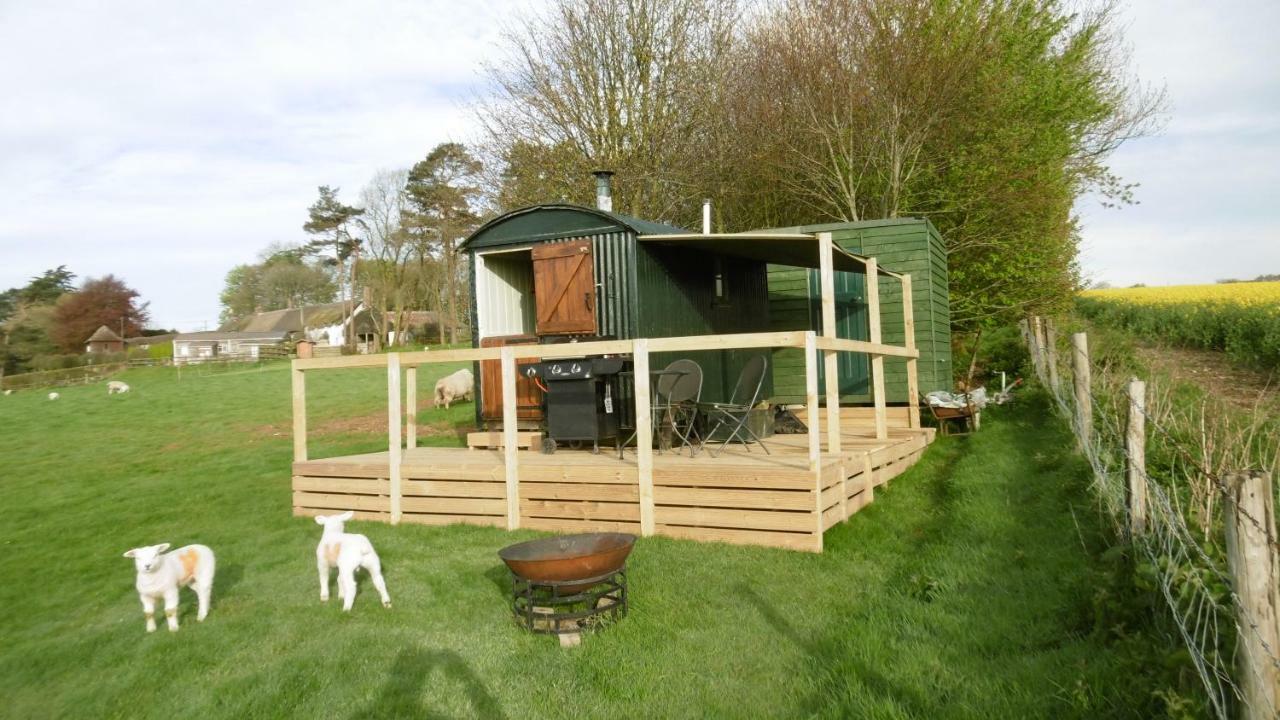 Shepherd'S Hut Hotel Blandford Forum Exterior foto