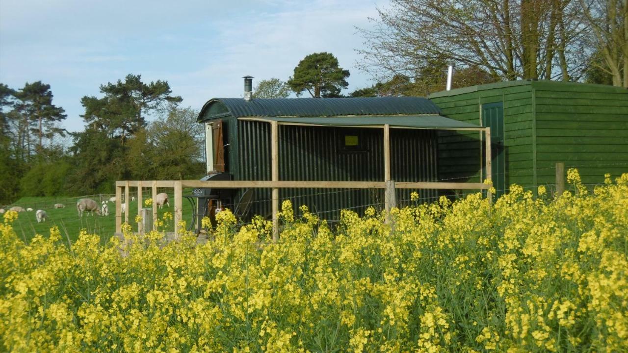 Shepherd'S Hut Hotel Blandford Forum Exterior foto